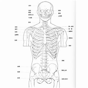 多发性肋骨骨折（右侧6-9肋骨）、肺锉裂伤、血气胸（右侧）、右肩胛骨骨折、右侧股骨大粗隆骨折被鉴定为九级工伤